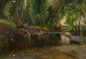 Arbres Et Miroir D'eau