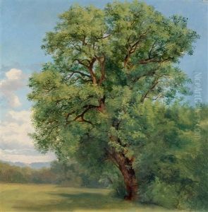 Chataignier by Alexandre Calame
