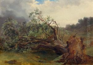 Arbre Tombe