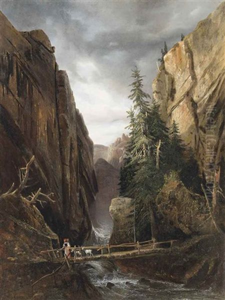 Crossing A Mountain River - view 1
