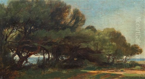Pins En Bord De Mer (pinetrees Along The Coast) - view 1