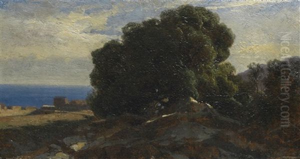 Massif D'arbres Et Bord De Mer, Vers Bordighera - view 1