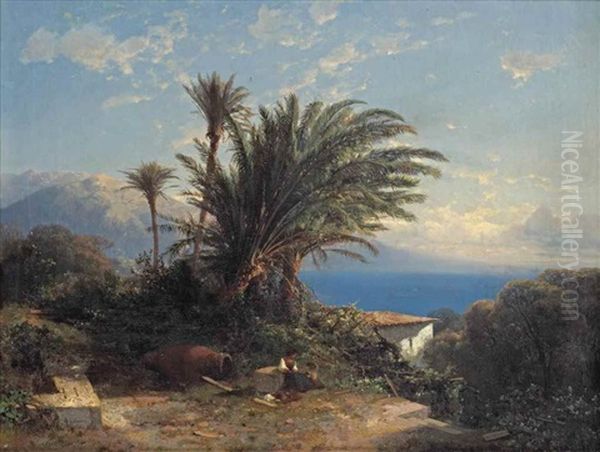 Palmtrees At The Riviera, France - view 1