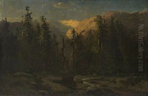 Paesaggio Boschivo Con Torrente