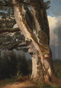 An Oaktree Trunk by Alexandre Calame