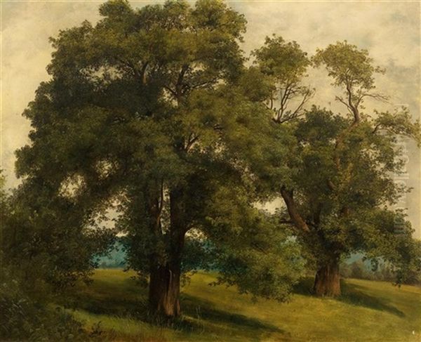 Landschaft Mit Baumen - view 1