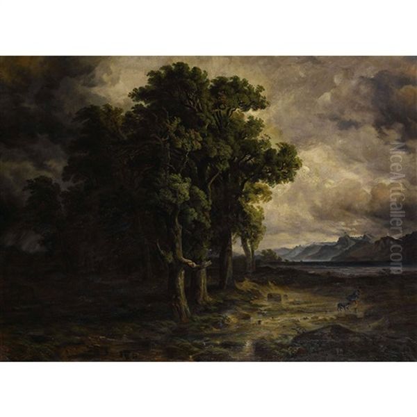Chenes Battus Par L'orage - view 1