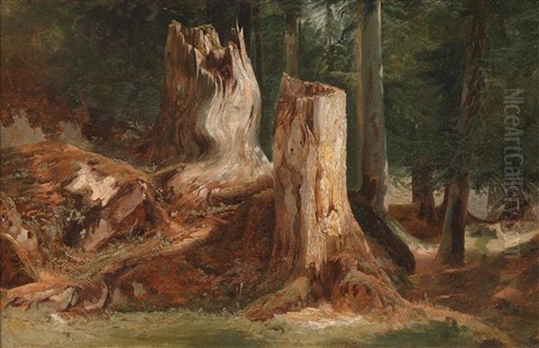 Waldstuck - view 1