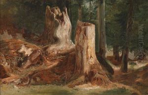 Waldstuck by Alexandre Calame