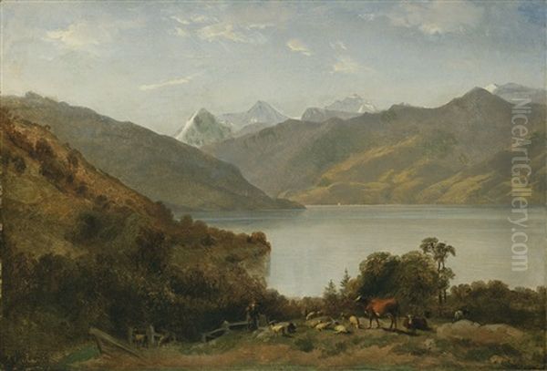 Vlac De Thoune - view 1