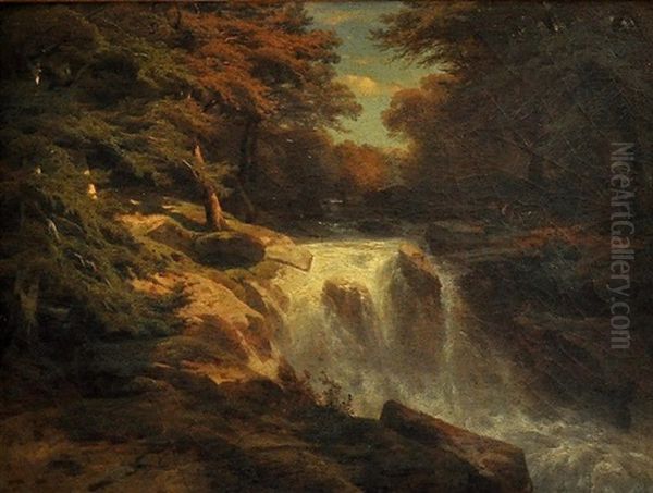 Forest Cascade - view 1