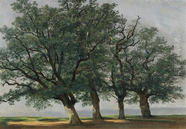 Quatre Grands Arbres - view 1