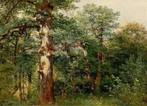 Chenes, Dans La Foret De Sauvabelin by Alexandre Calame
