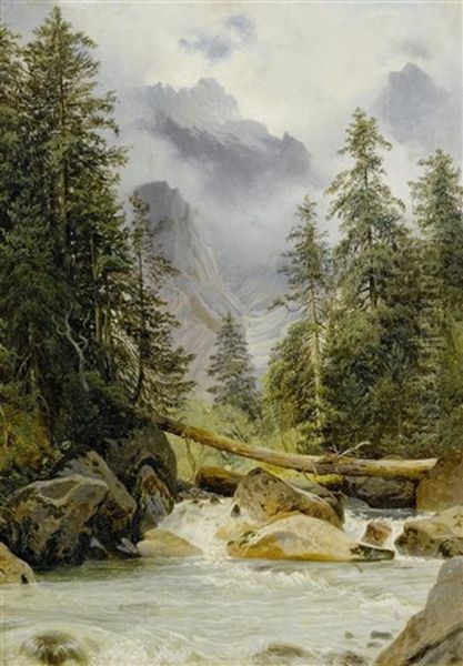 Gebirgsbach - view 1