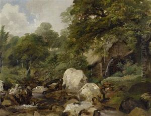 Feldlandschaft Mit Einem Bach Im Vordergrund thumbnail