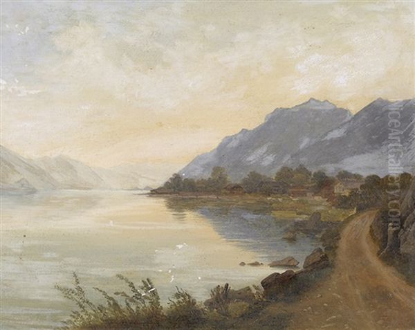 Uferpartie Am Brienzersee - view 1