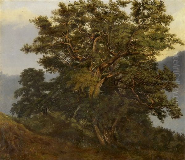 Baum Mit Weg - view 1