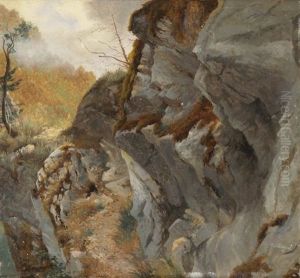 Sentier Sur Une Falaise