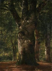 Tronc De Hetre (trunk Of A Beech Tree) by Alexandre Calame
