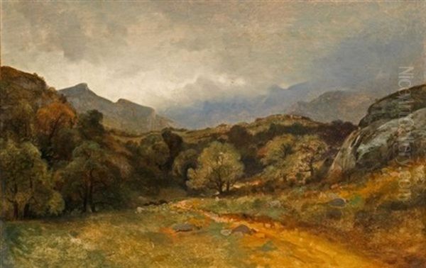 Prairie, Arbres, Chemin Au Pied Des Alpes - view 1