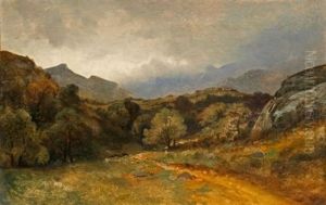 Prairie, Arbres, Chemin Au Pied Des Alpes