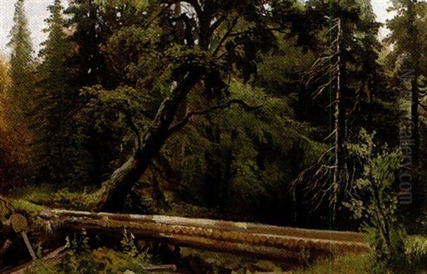 Paysage Au Pont De Bois Dans Une Foret (+ Vue D'un Village De Montagne, Verso) - view 1