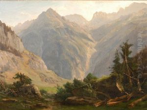 Blick Von Einer Alp In Ein Gebirgstal