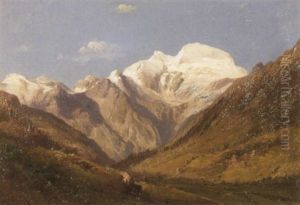 Hochgebirgstal Mit Verschneitem Gipfel
