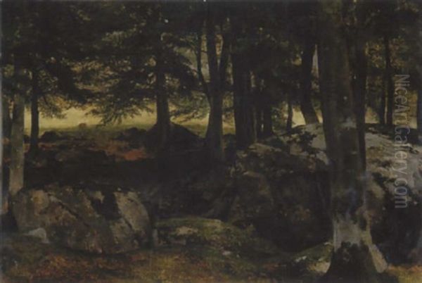 Waldlandschaft Mit Findlingen - view 1