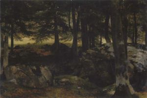 Waldlandschaft Mit Findlingen