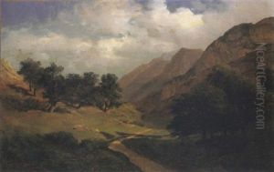 Un Chemin Dans Une Vallee