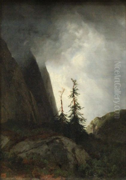 Route Du Grimsel - view 1
