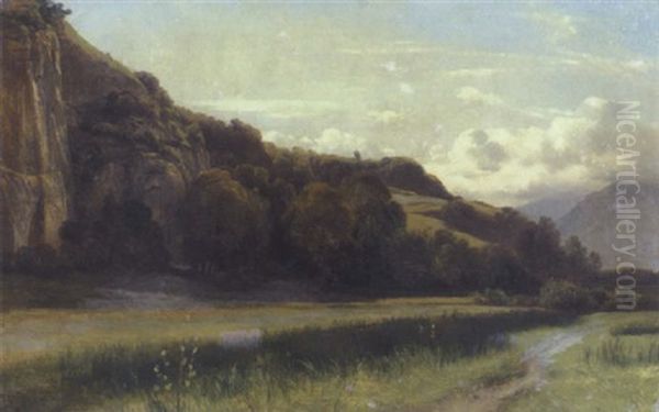 Wiese Mit Felsen Und Waldchen - view 1