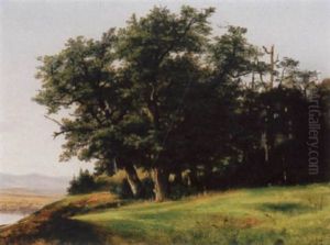 Baumbestandene Anhohe Mit Blick Auf Einen See by Alexandre Calame