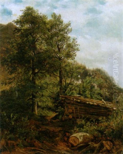Gebirgslandschaft Mit Einem Holzstapel - view 1