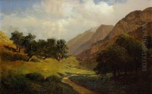 Paysage Au Chemin