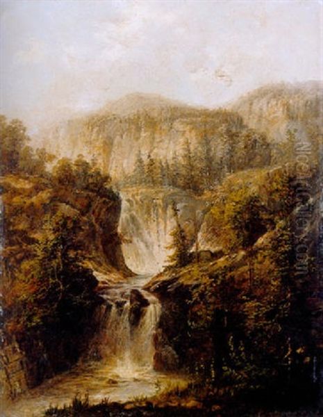 Torrent Dans Un Paysage Suisse - view 1