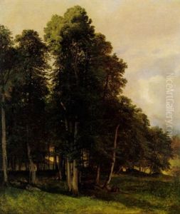 Bois by Alexandre Calame