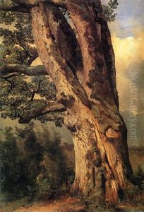 A Tree Trunk A Tree Trunk