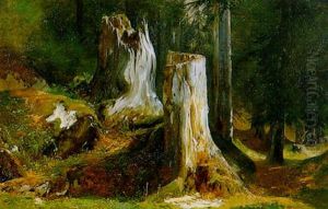 Souches D'arbres by Alexandre Calame