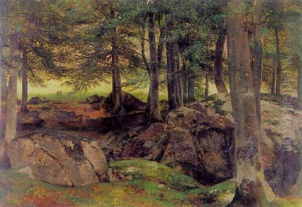 Waldlandschaft Mit Findlingen - view 1