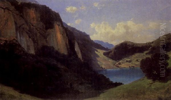 Der Seelisbergersee - view 1