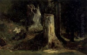 Souche D'abre by Alexandre Calame