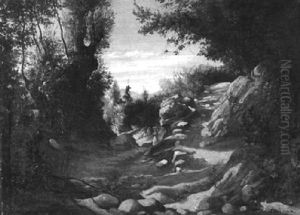 Gebirgslandschaft Mit Frau Auf Felsigem Weg