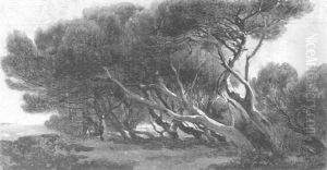 Au Bord De La Mer