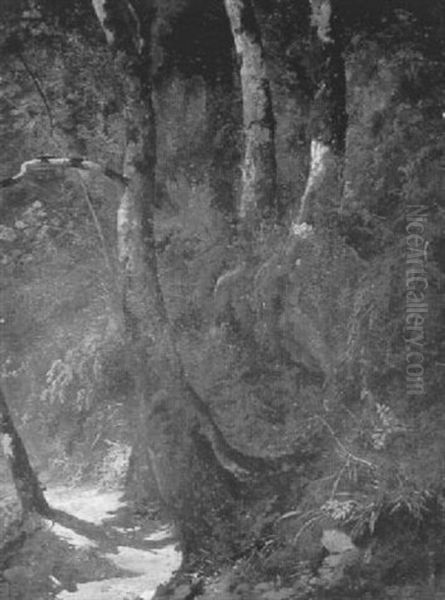 Waldlandschaft Mit Pfad Und Drei Baumen - view 1