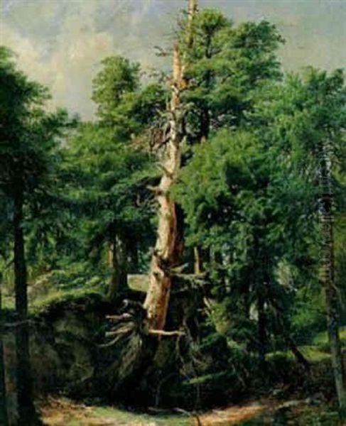 Waldlandschaft - view 1