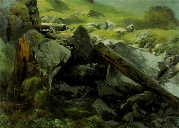 Paysage De Montagne. Rochers Et Troncs D'arbres - view 1