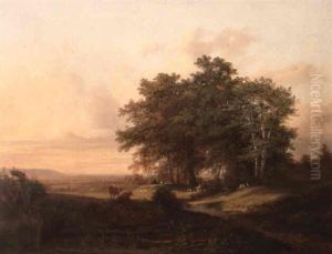 Weite Landschaft Mit Hirten