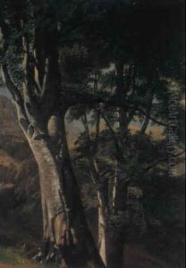 Hetres by Alexandre Calame